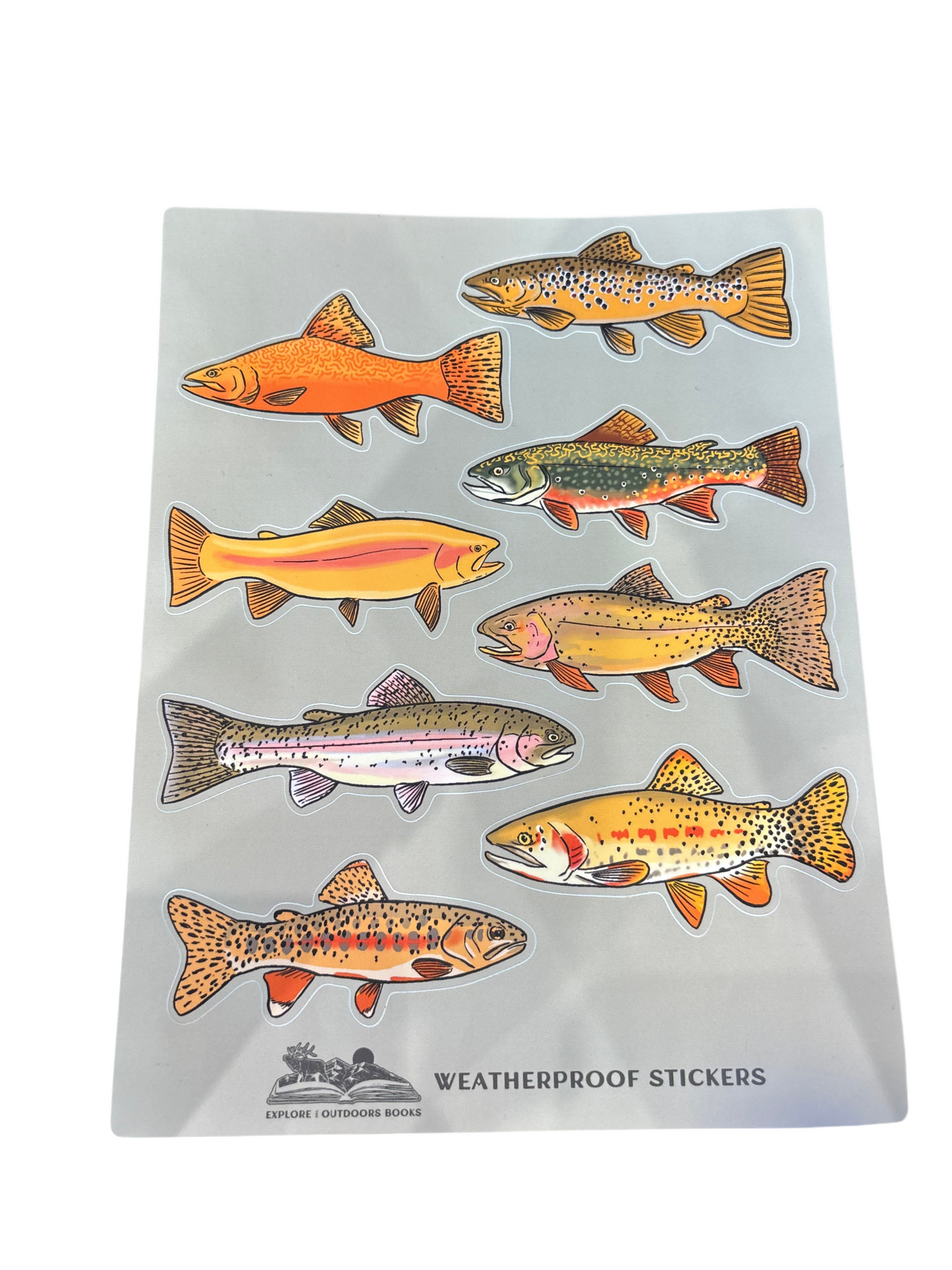 Trout Weatherproof Sticker Sheet