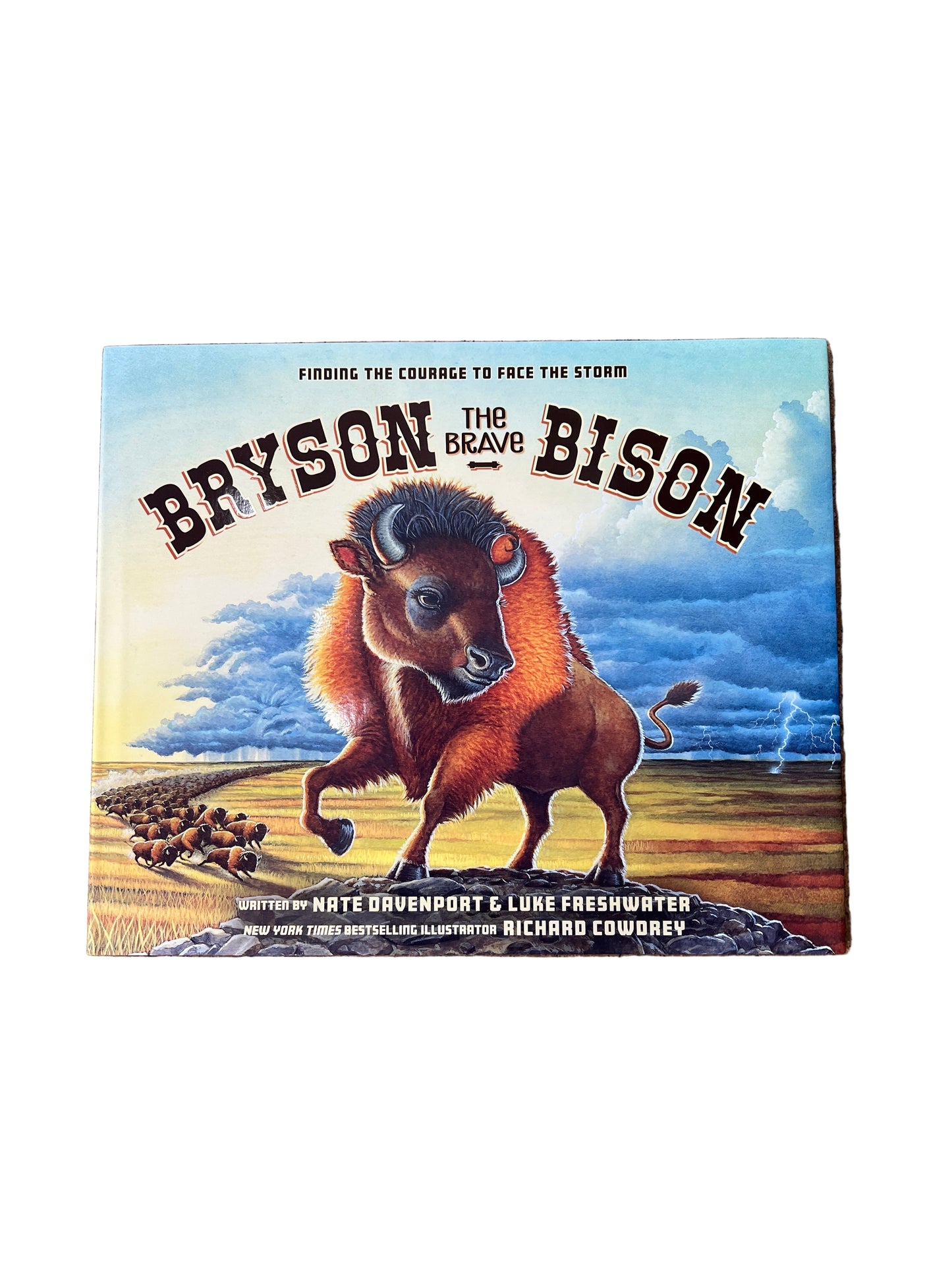 Bryson the Brave Bison