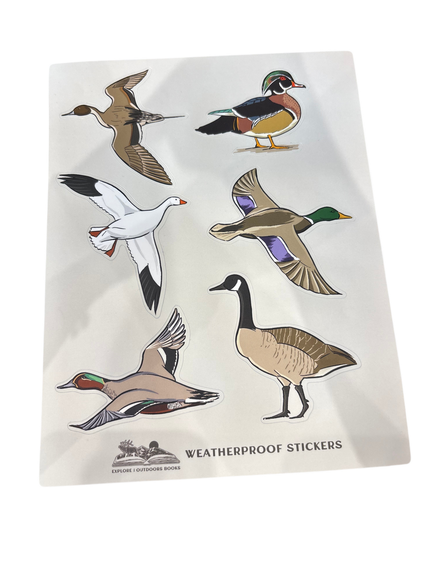 Waterfowl Weatherproof Sticker Sheet