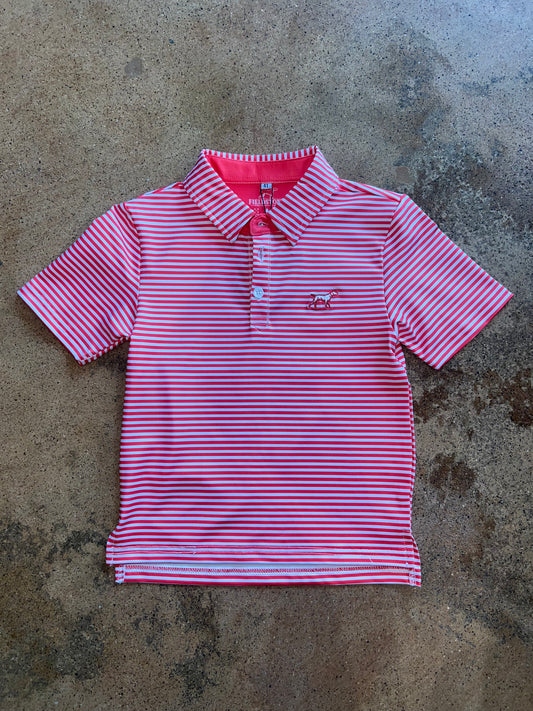 Coral Marshall Polo